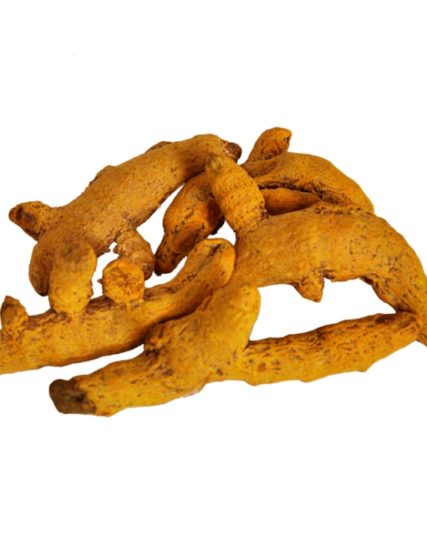 tmpooja-turmeric-for-homa-root-pooja-use-kalpatharu-inc-the-online-mega-pooja-store-puja-store-tm-thirumurugan-divine