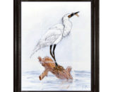 tmpooja-bird-glass-painting-online-mega-pooja-store