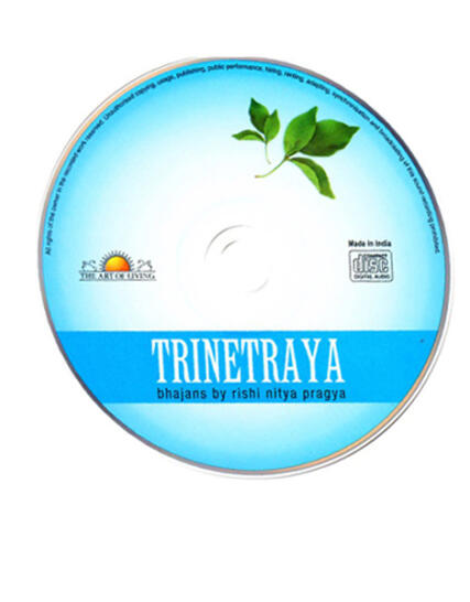 tm-tmpooja-bhajans-trinetraya-rishi-nitya-pragya-the-art-of-living-qty-1acdpk-music-marketed-by-kalpatharu-Inc-the-online-mega-pooja-stores-thirumurugan-audio-6songs-music-divine (3)