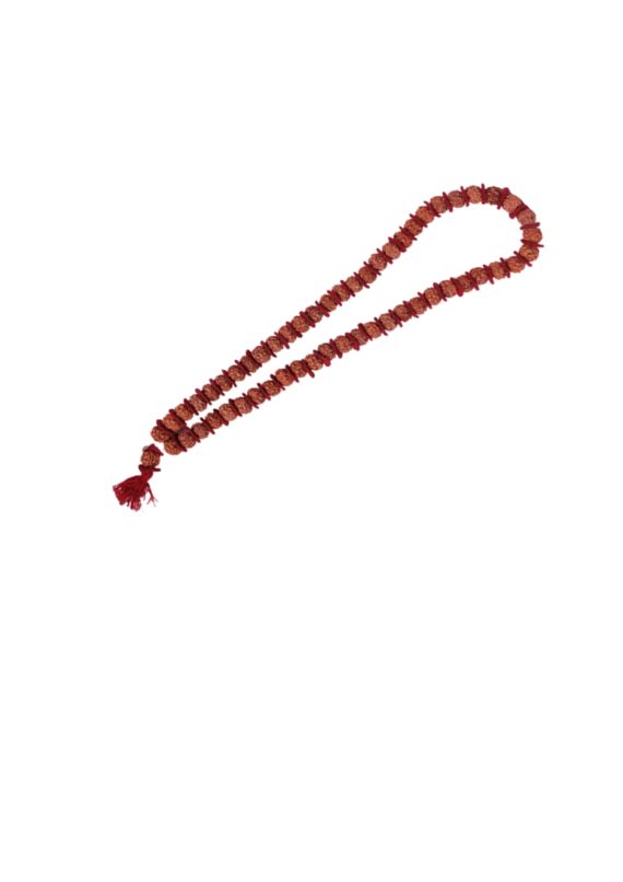 tmpooja-5Mugam-rudhratchamala-decorative-mukhi-pancha-panja-malai-mala-rudhraksham-neck-wear-jewel-divine-rudhra-kalpatharu-54no-54-online-mega-pooja-store-puja-muga-face-ros