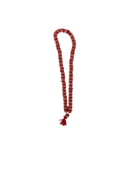 tmpooja-5Mugam-rudhratchamala-decorative-mukhi-pancha-panja-malai-mala-rudhraksham-neck-wear-jewel-divine-rudhra-kalpatharu-54no-54-online-mega-pooja-store-puja-muga-rosaries