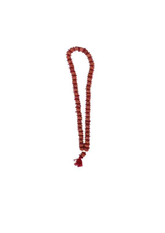 tmpooja-5Mugam-rudhratchamala-decorative-mukhi-pancha-panja-malai-mala-rudhraksham-neck-wear-jewel-divine-rudhra-kalpatharu-54no-54-online-mega-pooja-store-puja-muga-rosaries