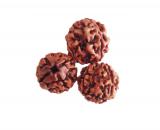 tmpooja-four-4-mukhi-mugam-muga-online-mega-pooja-store-original-jpg