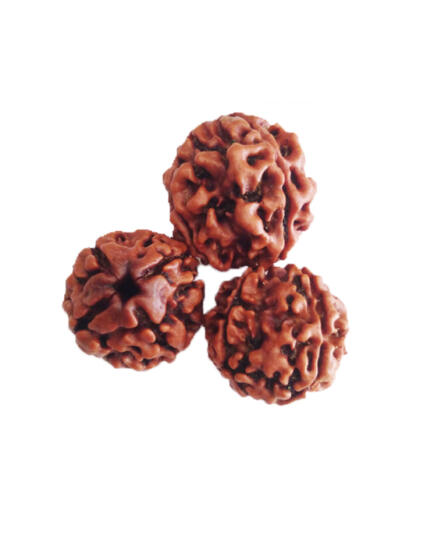 tmpooja-four-4-mukhi-mugam-muga-online-mega-pooja-store-original-jpg